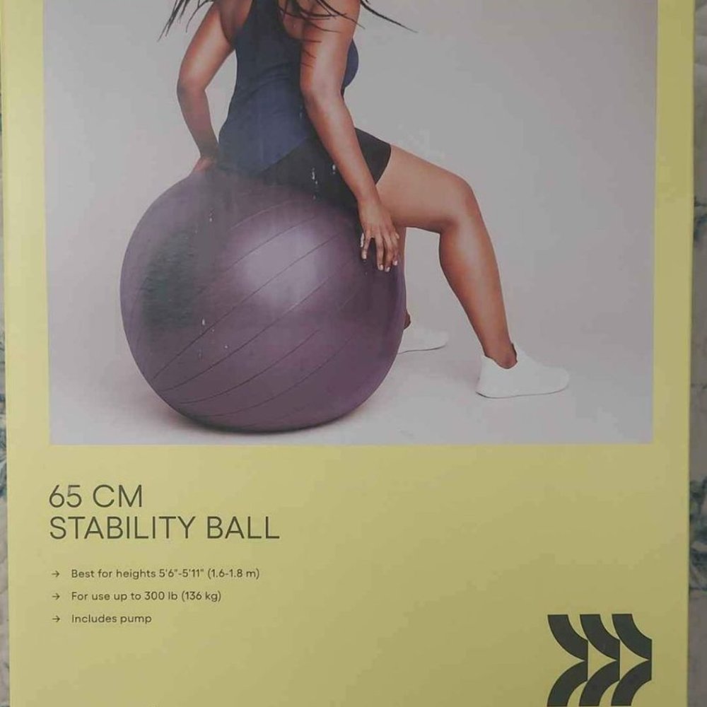 All in Motion 65 CM Stability Ball